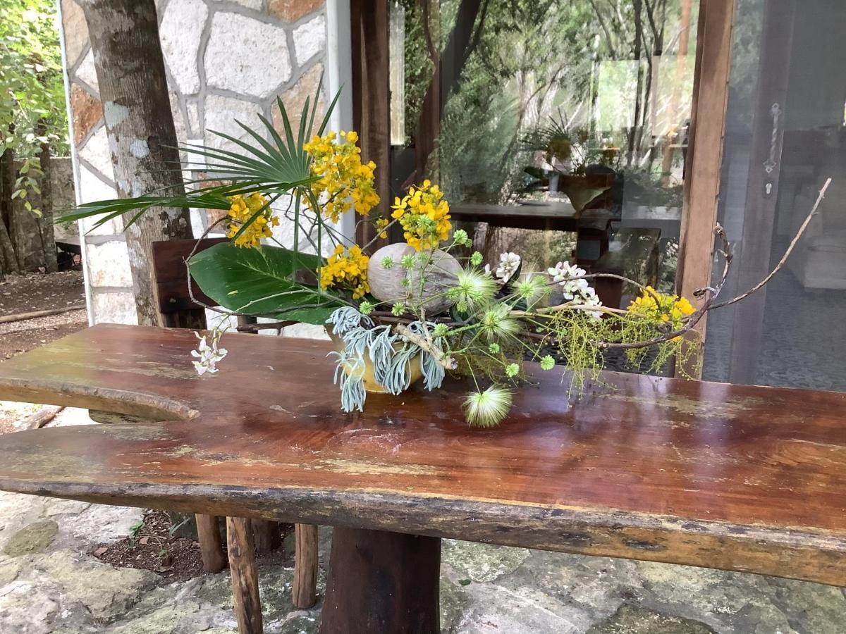 Escarabajo Rojo Acomodação com café da manhã Tulum Exterior foto