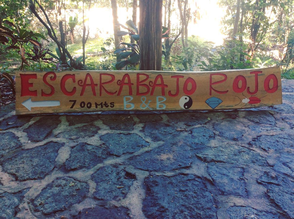 Escarabajo Rojo Acomodação com café da manhã Tulum Exterior foto
