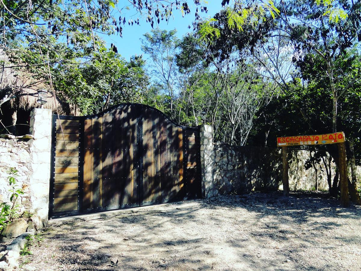 Escarabajo Rojo Acomodação com café da manhã Tulum Exterior foto