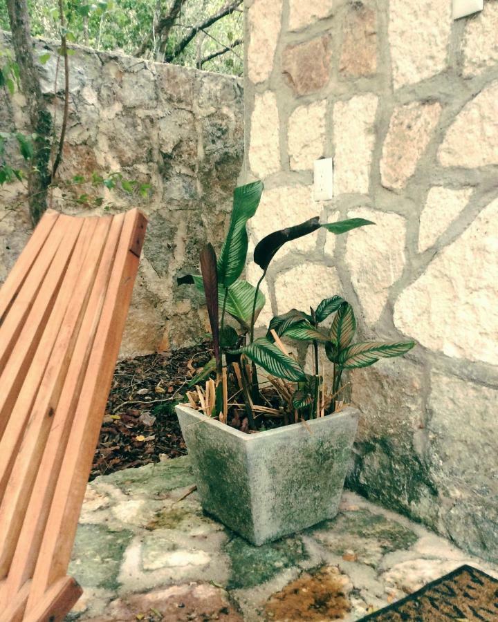 Escarabajo Rojo Acomodação com café da manhã Tulum Exterior foto